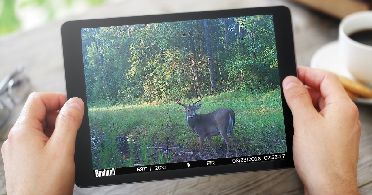 Take Your Hunt High-Tech With FTC’s Game Cam Scout Service
